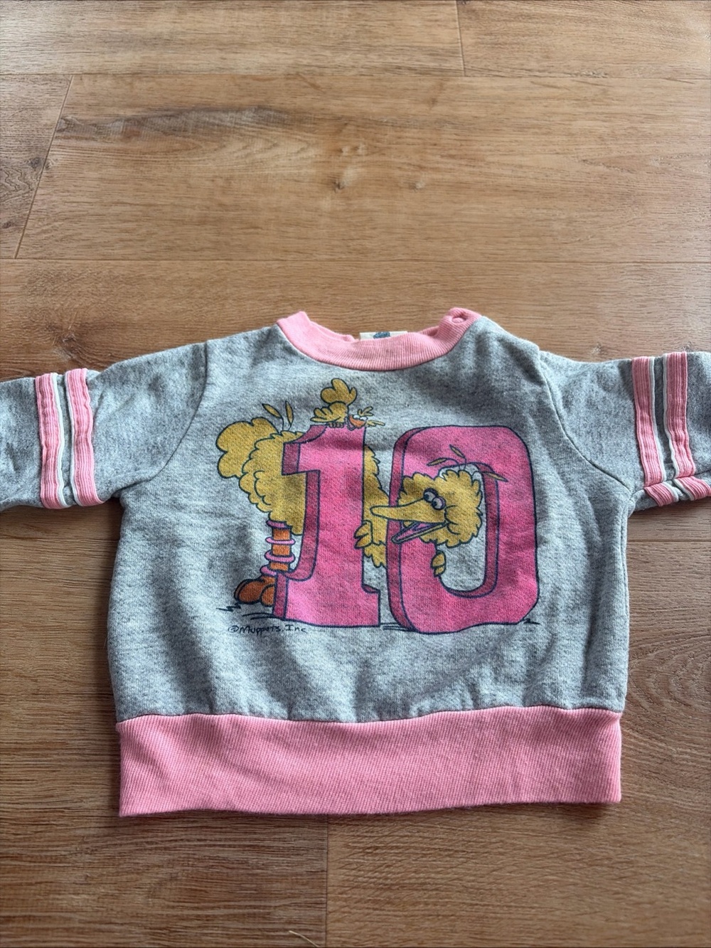 Vintage 80s Sesame Street Big Bird 10 th Anniversary Sweatshirt Size 1 Toddler